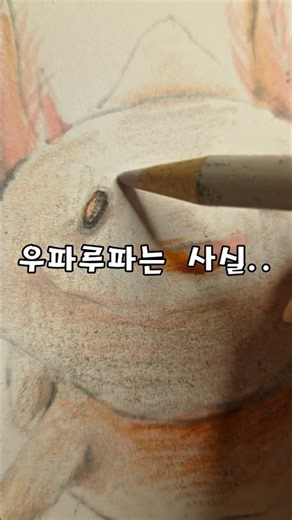 The Secret of the Axolotl