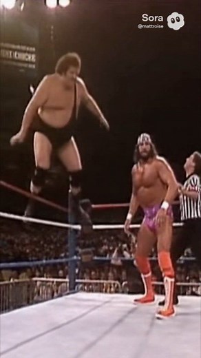 3 comments | Andre The Giant Jumps Off Top Rope Onto Macho Man Breaking The Ring In Half #andrethegiant #machoman #randysavage #prowrestling | Matt Troise | Facebook