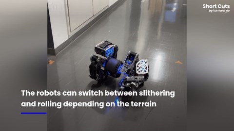 Snake-like robots get smarter with AI-powered movement