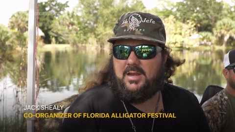 Florida Alligator Festival celebrates tradition of alligator wrestling and ‘Old Florida’ spirit