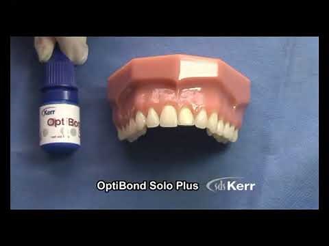 Herculite Précis - Universal Nanohybrid Dental Composite