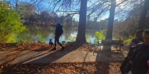 Shane Phillips on Reels