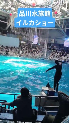 品川水族館イルカショー品川駅から徒歩５分＃イルカ＃イルカショー＃水族館＃品川水族館