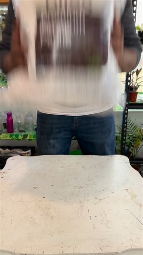 Foraging Fosters on Instagram: "This mix is made with coconut husk, LECA, perlite, lava rock, horticultural charcoal, and worm castings—great for drainage and healthy roots."