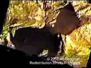 ODISEALINK - DR. JONATHAN REED ALIEN ENCOUNTER - Blinking Footage - Video #2