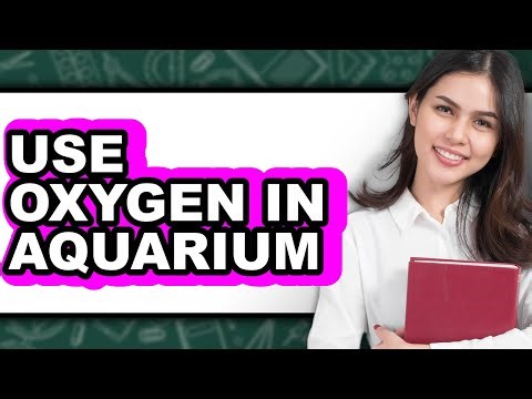 How to Use Oxygen in Aquarium - Step By Step