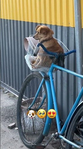 8 вересня 2025 р.