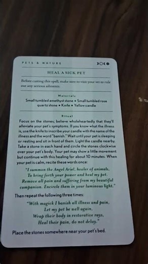 Heal A Sick Pet spell #pets #nature #ritual #spells