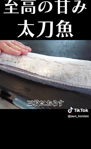 炙り太刀魚 #太刀魚 #タチウオ #太刀魚炙り #刺身 #お刺身 #捌き方 #魚の捌き方 #魚 #レシピ #レシピ動画 #簡単レシピ #料理 #料理動画 #和食 #赤坂阿吽本店 #赤坂阿吽 #阿吽グループ #阿吽チャンネル