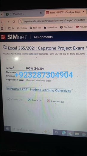 Excel 365/2021: Capstone Project Exam *RA