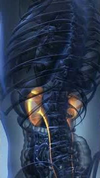 Kidney Treatment Without Dialysis | Hot Water Immersion Therapy | Acharya Manish Ji | HiiMS