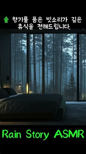 🌲 솔 향기를 품은 빗소리 | Pine Forest Rain Sounds#솔향기 #자연의소리