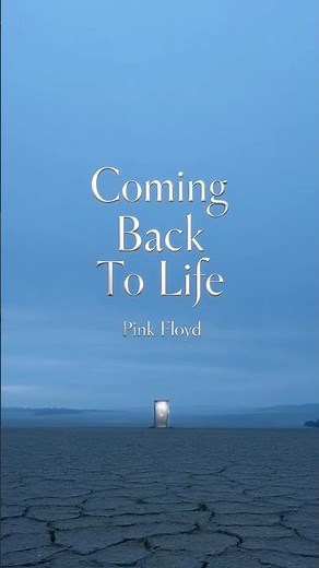 Coming Back to Life: Pink Floyd