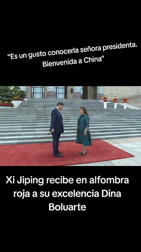 #dinaboluarte #peru #viral