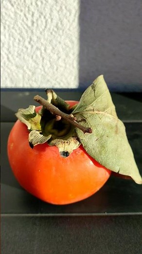 Diospyros kaki: Ripening bananas, apples, and persimmons in plastic bags - Tutorial instructions
