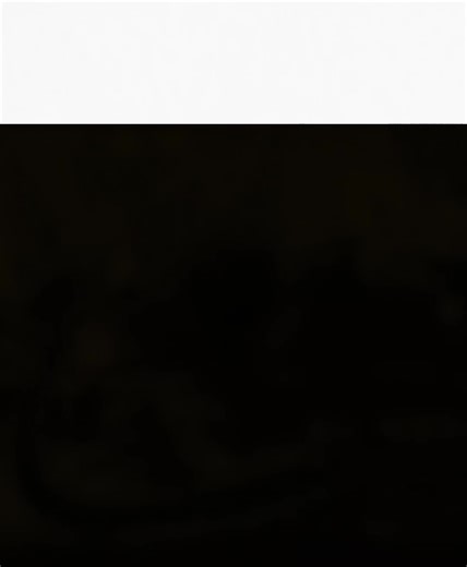 Did you know? #fypage #trending #greenscreen #freefirethofficial #foryoupage #tiktok #ffff #100k #garenafreefire #free_fire #fyppppppppppppppppppppppp #fypシ゚viral #fy #fypage #fffffffffffyyyyyyyyyyypppppppppppp #mygirl @ᵀᴹ°᭄FUCCHI ꔪ