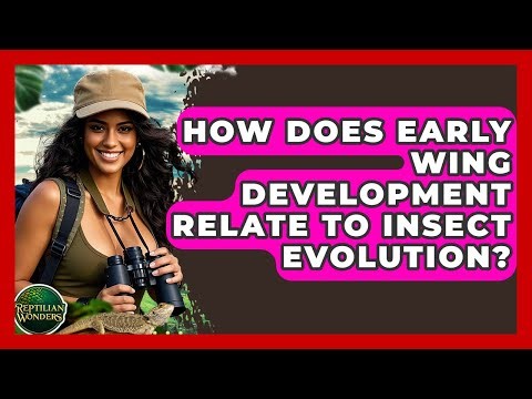 How Does Early Wing Development Relate To Insect Evolution? - Reptilian Wonders