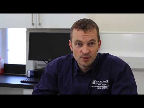 Incontinence In Dogs - Advice For Owners