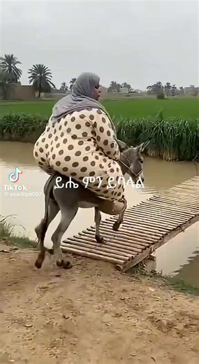 Ermi m (@ermiermiiii)’s videos with original sound - Ermi m