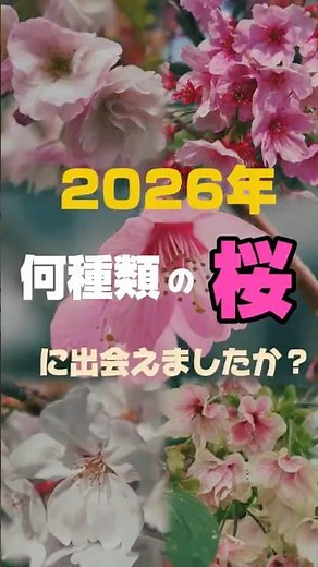 今年は何種類の桜に出会えましたか？珍しい桜を探そう！