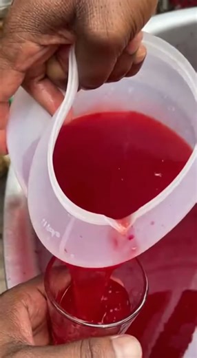 The World’s Best Grapefruit Juice! 🍊 | India Street Food First View#WorldsBestJuice