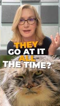 Angela Kinsey played a cat-loving accountant, making her the perfect expert to tell us about #grumps