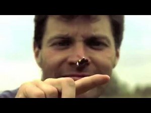 Bee levitation and anti gravity