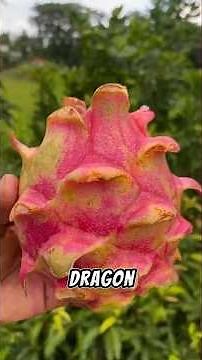 Top 5 Most Beautiful Fruits in the World