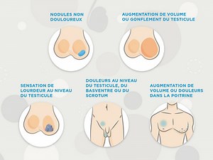 Savoir palper les testicules correctement