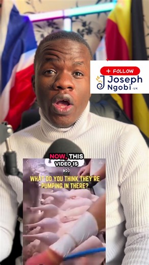 Inflatable Chicken Video: A Fun UK Perspective