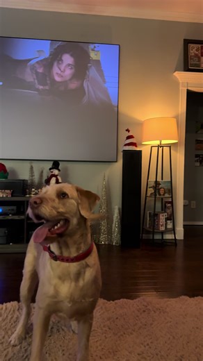 Hilarious Dog Mimics Air Bud's Moves
