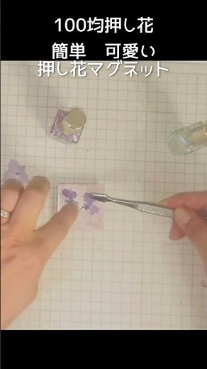100均押し花 マグネットテープでお花のマグネットタイル作り#ダイソー#100均#押し花セラピー