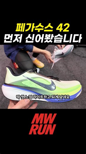 페가수스 42 먼져 신어 봤습니다