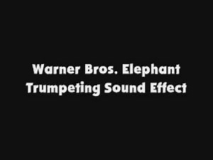 WB Elephant Trumpeting SFX