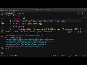 OpenCV Image Capture with Multiple Cameras