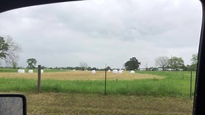 23K views · 1.3K reactions | Marcus Luttrell on Reels | Facebook