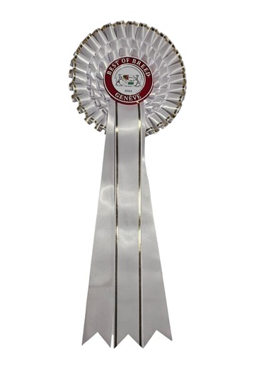 White Rosette Ribbon – Elegant Award or Celebration Rosette – Custom Text and Logo - Etsy
