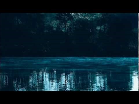 Aliens Eating Humans in National Parks ?! Unexplained Disappearances Author Steph Young