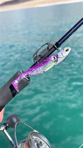 2.75” purple flash by @Big Joshy Swimbaits 💯🔥 #fishing #ultralightfishing #swimbait #troutfishing