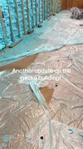 Gecko Building Update: Ceiling Complete and Progress Made