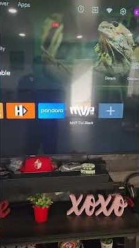 MVP tivi from downloader installation