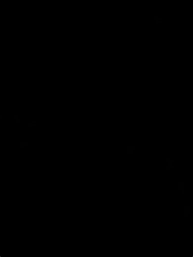 The Journey of YouTube Founders