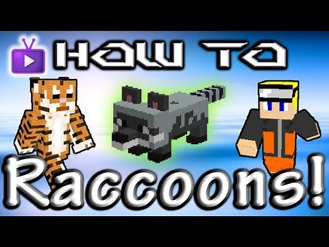 Minecraft How To: Mo' Creatures - Raccoons!