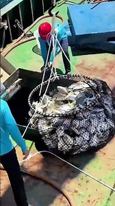 Sky and Sea Blend: Fishermen Harvest Full Nets on the Sea