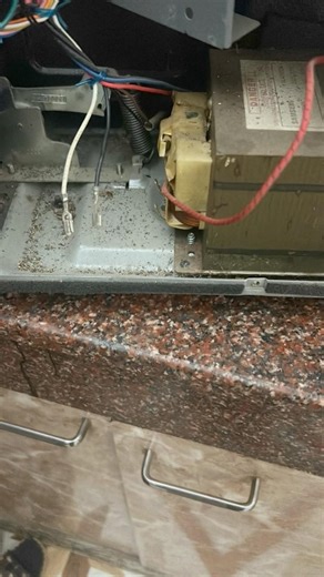 #samsung microwave not working heating problem solved #minivlog #homeappliance #viral #dalyvlog