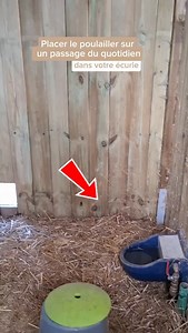 💡 Un abreuvoir automatique dans le poulailler Dans la construction globale, c’est un détail… mais un détail particulièrement pratique 🐔 Placer le poulailler sur un lieu de passage du quotidien, emprunté chaque jour, rend les gestes plus simples : nourrir, ramasser les œufs, jeter un œil. C’est un choix parmi d’autres, qui prend son sens selon les habitudes, le fonctionnement du lieu et la réalité du terrain. Chez Horse Projets, chaque implantation s’inscrit dans une réflexion globale, en tenan