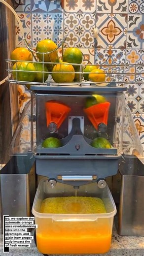 Automatic Orange Juicer: How It Works, Benefits, and Impact on Juice Production