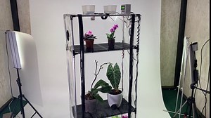 2023: Sezam XL Tropic - Humidity Cabinet for Plant. Mini-Greenhouse with Automatic humidifier, Lighting Control, Daylight Timer.