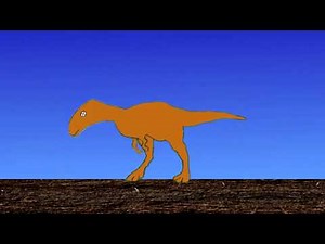 The Fossilisation Process