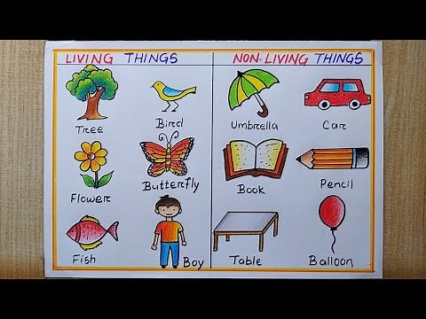 Living Things and Non-living Things poster drawing easy| Living and Non-living Things drawing steps